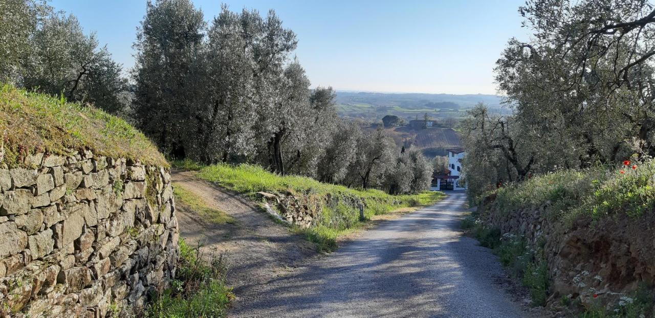 Il Fienile Di Tigliano Villa Vinci Exterior foto