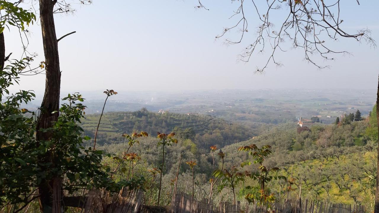Il Fienile Di Tigliano Villa Vinci Exterior foto